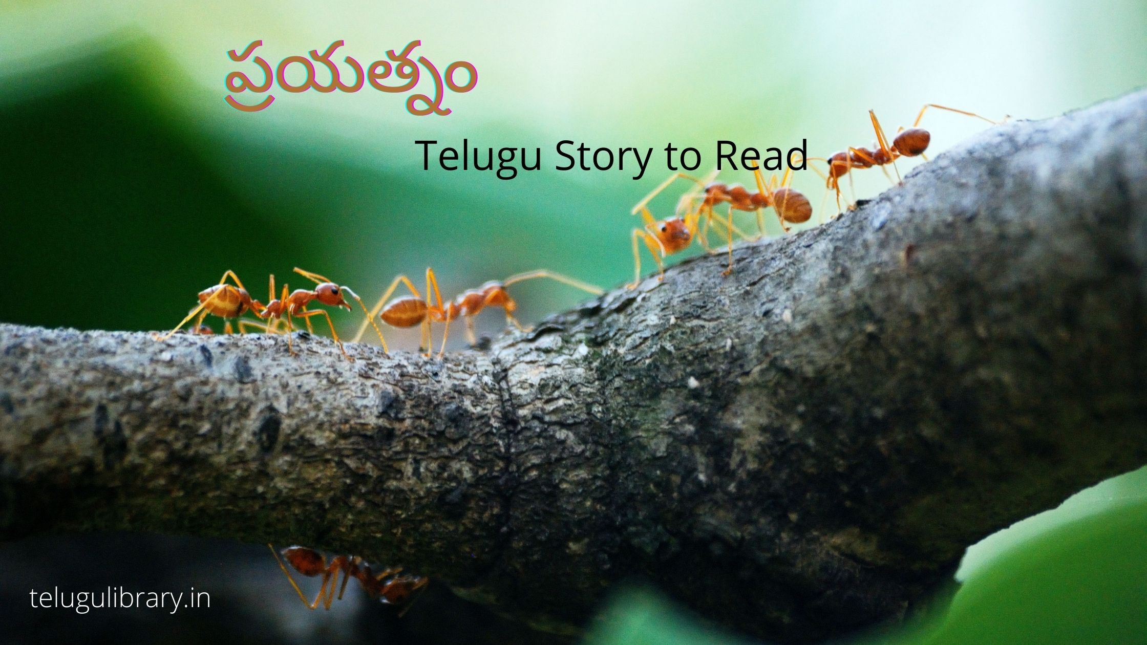 telugu story to read