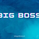 BIG BOSS Telugu, Who is Big Boss?