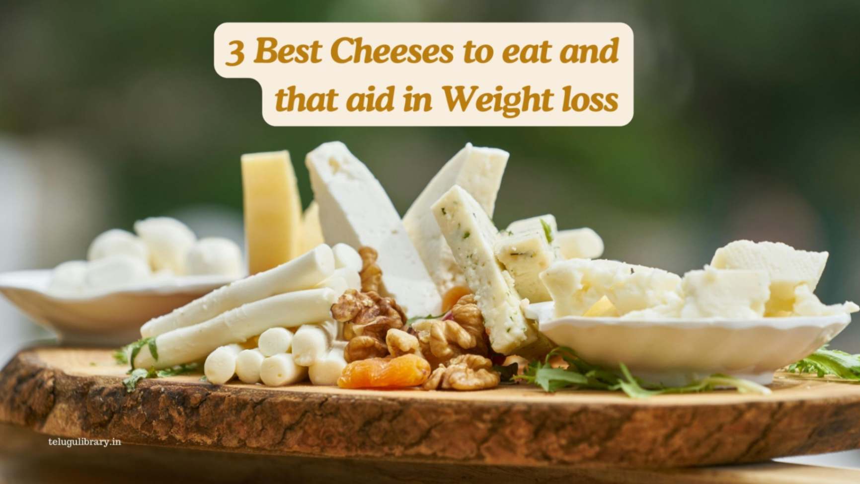 Weight Loss Friendly Cheeses: Top 3