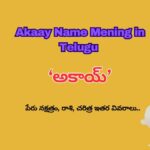 Akaay Name Meaning in Telugu -‘అకాయ్’ పేరు అర్థం