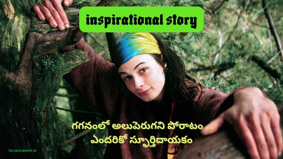 Julia Butterfly Hill Story