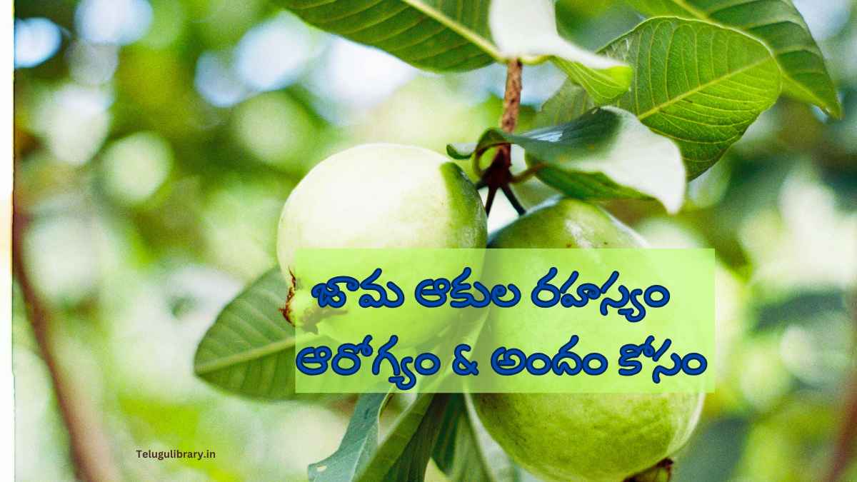 guava leaves benefits in telugu