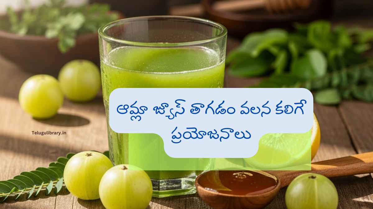 Amla Juice Benefits in Telugu