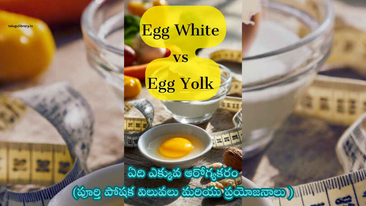Egg White Nutrition Value